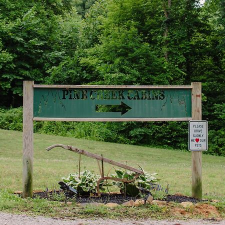Pine Creek Cabins & Camping Resort South Bloomingville Bagian luar foto